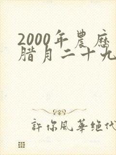 2000年农历腊月二十九是什么命封面