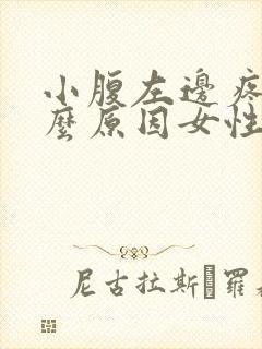 小腹左边疼是什么原因女性