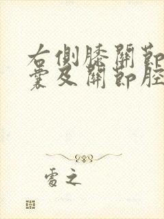 右侧膝关节髌上囊及关节腔积液