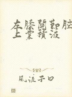 左膝关节腔及髌上囊积液封面