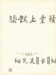 膝髌上囊积液