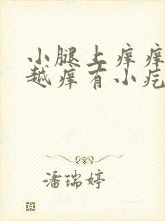 小腿上痒痒越挠越痒有小疙瘩