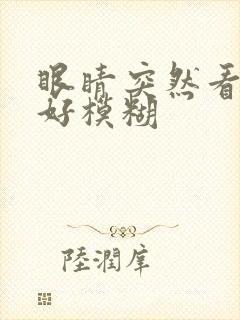眼睛突然看东西好模糊