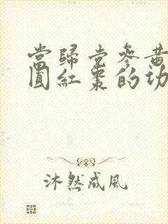当归党参黄芪桂圆红枣的功效
