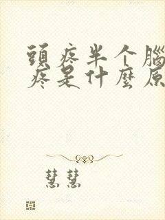 头疼半个脑袋都疼是什么原因