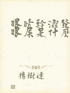 眼睛干涩发痒有眼屎是什么原因引起的封面