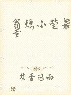 翁熄小莹最新节章封面