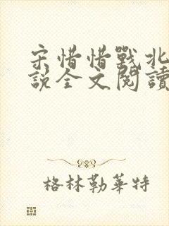 宋惜惜战北望小说全文阅读