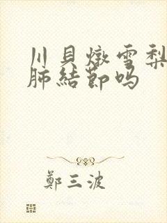 川贝炖雪梨能治肺结节吗