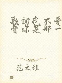 歌词我不爱你谁爱你是哪一首歌封面