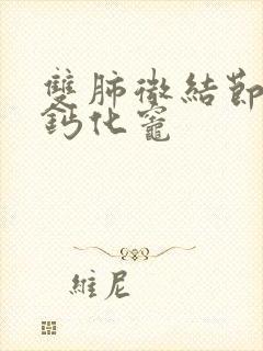 双肺微结节影及钙化灶