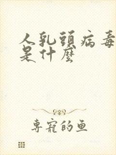 人乳头病毒58是什么