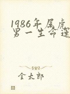 1986年属虎男一生命运如何