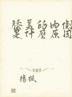 膝盖的内侧疼痛是什么原因
