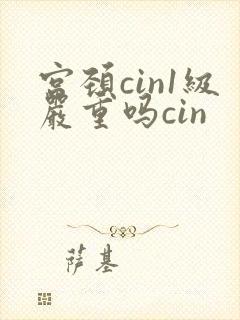 宫颈cin1级严重吗cin