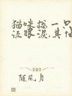 猫咪总一只眼睛流眼泪,其他正常