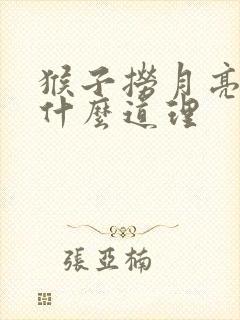 猴子捞月亮讲了什么道理