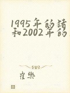 1995年的猪和2002年的马配吗