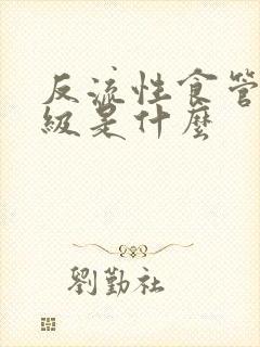 反流性食管炎b级是什么