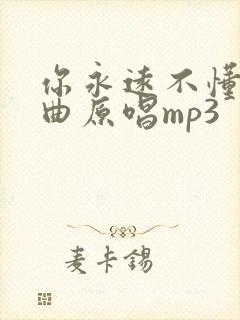 你永远不懂我歌曲原唱mp3
