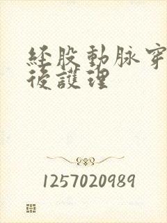 经股动脉穿刺术后护理封面