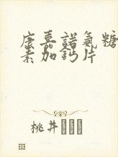 康嘉诺氨糖软骨素加钙片