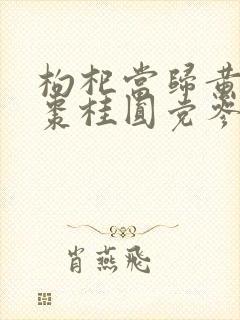 枸杞当归黄芪红枣桂圆党参是调理啥