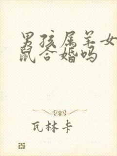 男孩属羊女孩属鼠合婚吗