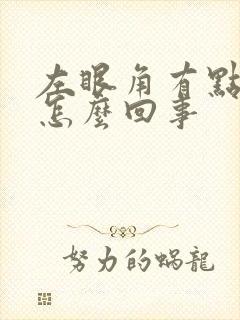左眼角有点模糊怎么回事