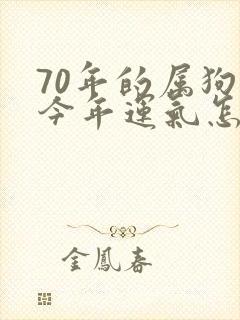 70年的属狗的今年运气怎么样