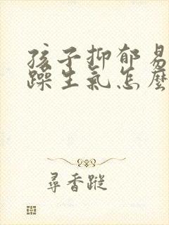 孩子抑郁易怒暴躁生气怎么办封面