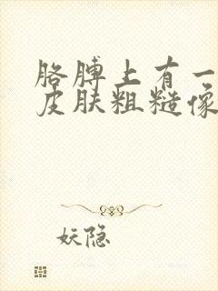 胳膊上有一小块皮肤粗糙像癣一样