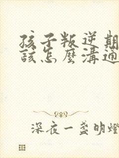 孩子叛逆期父母该怎么沟通封面