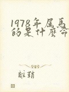 1978年属马的是什么命五行属相封面