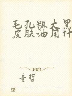 毛孔粗大黑头多皮肤油用什么洗面奶