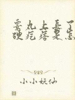 睾丸上长了个小硬疙瘩是怎么回事