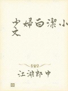 少妇白洁小说全文
