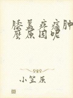 膝盖疼痛肿了什么原因呢