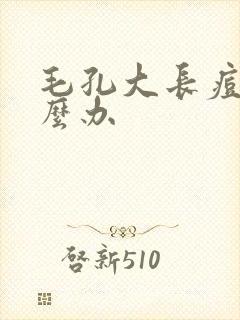 毛孔大长痘痘怎么办