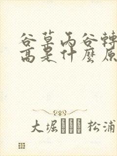 谷草丙谷转氨酶高是什么原因封面