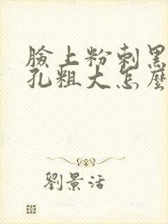 脸上粉刺黑头毛孔粗大怎么办