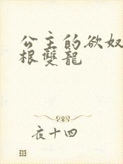 公主的欲奴h四根双龙