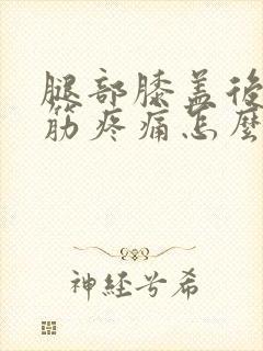 腿部膝盖后面的筋疼痛怎么治封面