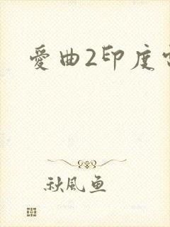爱曲2印度电影