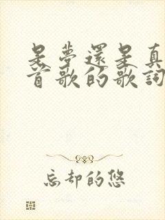 是梦还是真是哪首歌的歌词