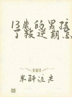 13岁的男孩到了叛逆期怎么教