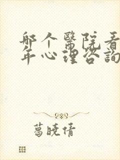 哪个医院看青少年心理咨询医院比较好