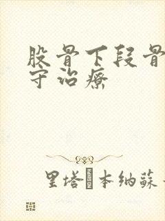 股骨下段骨折保守治疗