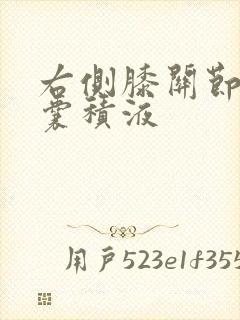 右侧膝关节髌上囊积液