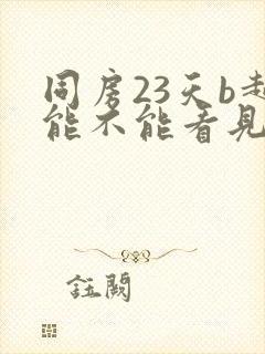 同房23天b超能不能看见孕囊